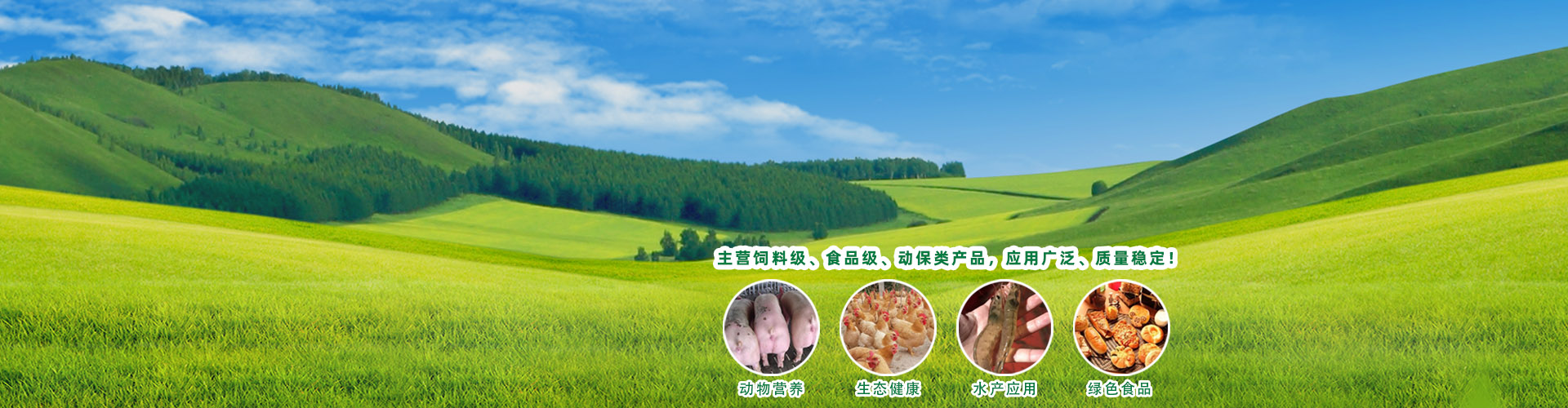 新聞動(dòng)態(tài)banner