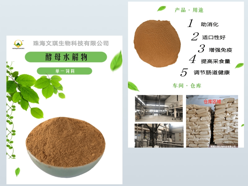 酵母水解物購買(mǎi)指南