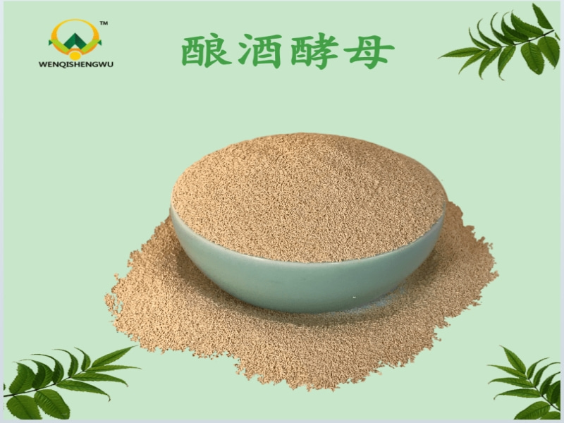 釀酒酵母可提高動(dòng)物采食量、促健康生長(cháng)