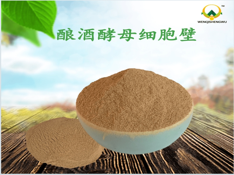 釀酒酵母細胞壁對奶牛生產(chǎn)性能的作用