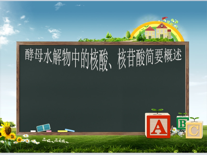 酵母水解物中的核酸、核苷酸簡(jiǎn)要概述
