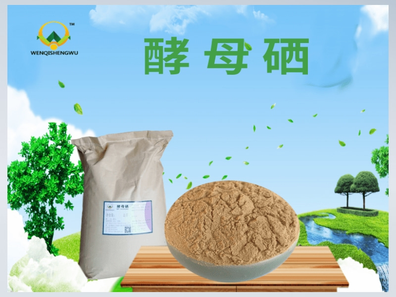 酵母硒在羊不同生理階段的作用(一）