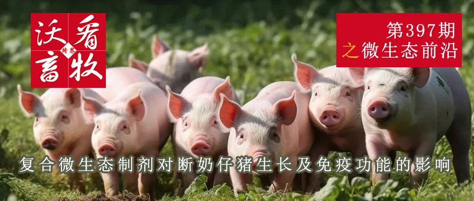 復合微生態(tài)制劑對斷奶仔豬生長(cháng)及免疫功能的影響|微生態(tài)前沿